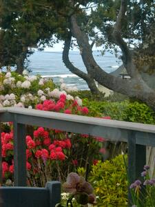 Quarterdeck condo reviews