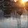 Another beautiful sunset in our marina