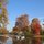 Your Chateau de Vincennes
