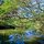 Some of What You'll See on Your Kayak Ride to the Beach!