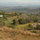 Rancho Ricco horse ranch and farm