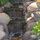 The soothing sounds of a waterfall