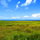 The Ocean View Field Across the Road!