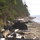 beach close to cottage - looking south