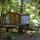 Redwood Treehouse Santa Cruz Mtns.