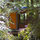 Redwood Treehouse Santa Cruz Mtns.