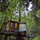 Redwood Treehouse Santa Cruz Mtns.