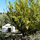 Hooting Owl Yurt Holidays