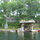 Jump off the deck into clear water 9' below