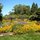Yard near cabaña in the spring