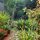 view of the lovely garden