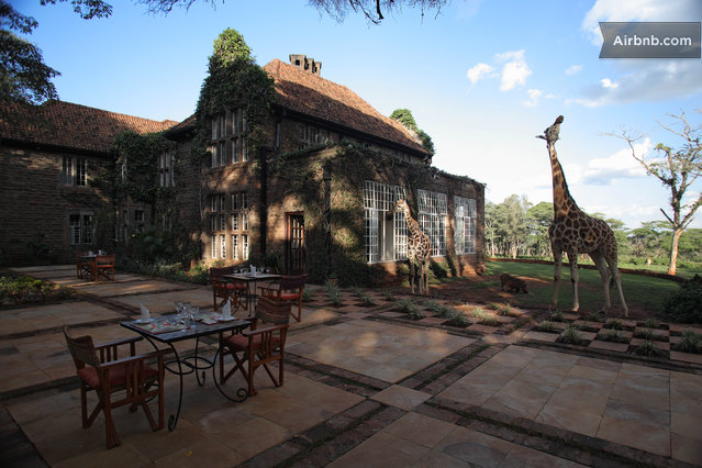 Giraffe Manor
