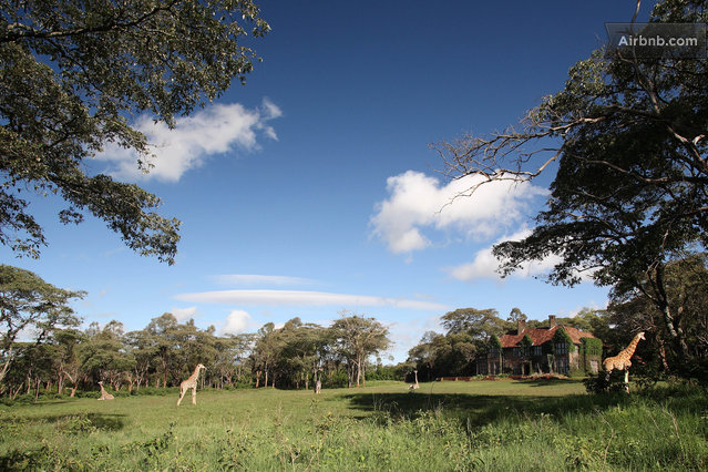 Giraffe Manor - Appreciate conservation and ecology