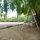 Relax on our garden swing under the ancient great willow - Le Grand Saule