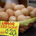 Local Shopping