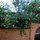 view from front windows