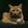 Old Man Redford --17 yrs