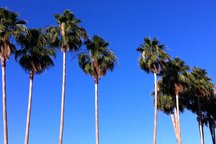 7 Bdrms/7Bths Close in Palm Springs
