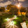 Back yard.   If you drive, you'll enter along this path.
