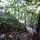Hulbert Creek: Stroll to the Russian River during the summer; Enjoy the dramatic soundscape in winter