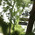 B&B 8km from Saint-Emilion