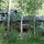 back view of the house - summer