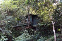 Sunset Beach Treehouse Bungalow