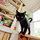 Maizy, Your Housemate if you choose!