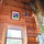 The Tiny Fern Forest Treehouse