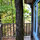 The Tiny Fern Forest Treehouse
