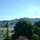The Urban Oasis SF 