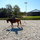 Bed'n'Breakfast at Hof Liebeneck