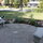 Little Jack looking over his kingdom from the north patio Rose Garden.
