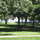 Evanston Parks