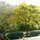 View over green community garden from beroom.