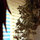 peppers and yarrow drying 