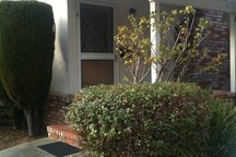 Quiet in the Heart of Santa Rosa 