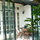 Old style apartment, winter garden