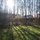Our neighborhood - green space and yet still in Munich!