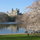 Walk to CENTRAL PARK/AMNH