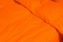 MissionTerr Shared BR TrndleBed MissionTerr Shared BR TrndleBed