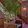 Hallway/stairwell detail showing original oak composite wainscoting