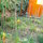 Bio Ortus bed and breakfast rome