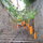 See the oranges at the Girona flower festival. The best of France, and an hour from Spain....