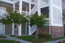 Golf Course View Myrtlewood Condo!