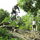 awesome biking trails