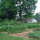 Here is where the veggies are grown.