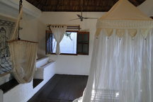 The Entire Palapa (Thatched Roof) 