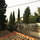 View from the house