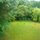 Back Garden